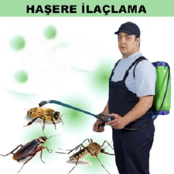 Daday Böcek İlaçlama